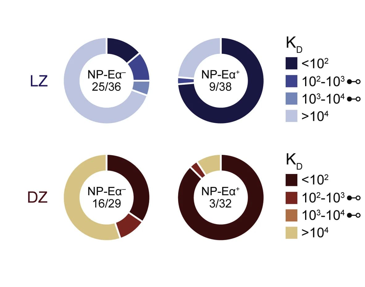 Open access visualization of Donut Chart, KD Values, Fabs, LZ NP-Eα+, DZ NP-Eα-