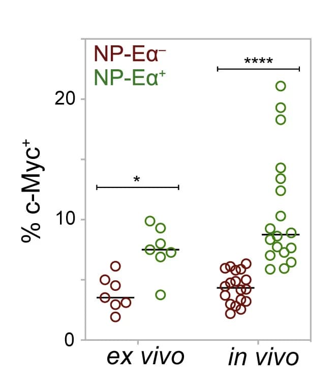Open access visualization of Scatter Plot, c-Myc, NP-Eα, LZ B1-8hi Cells, Two-Way ANOVA