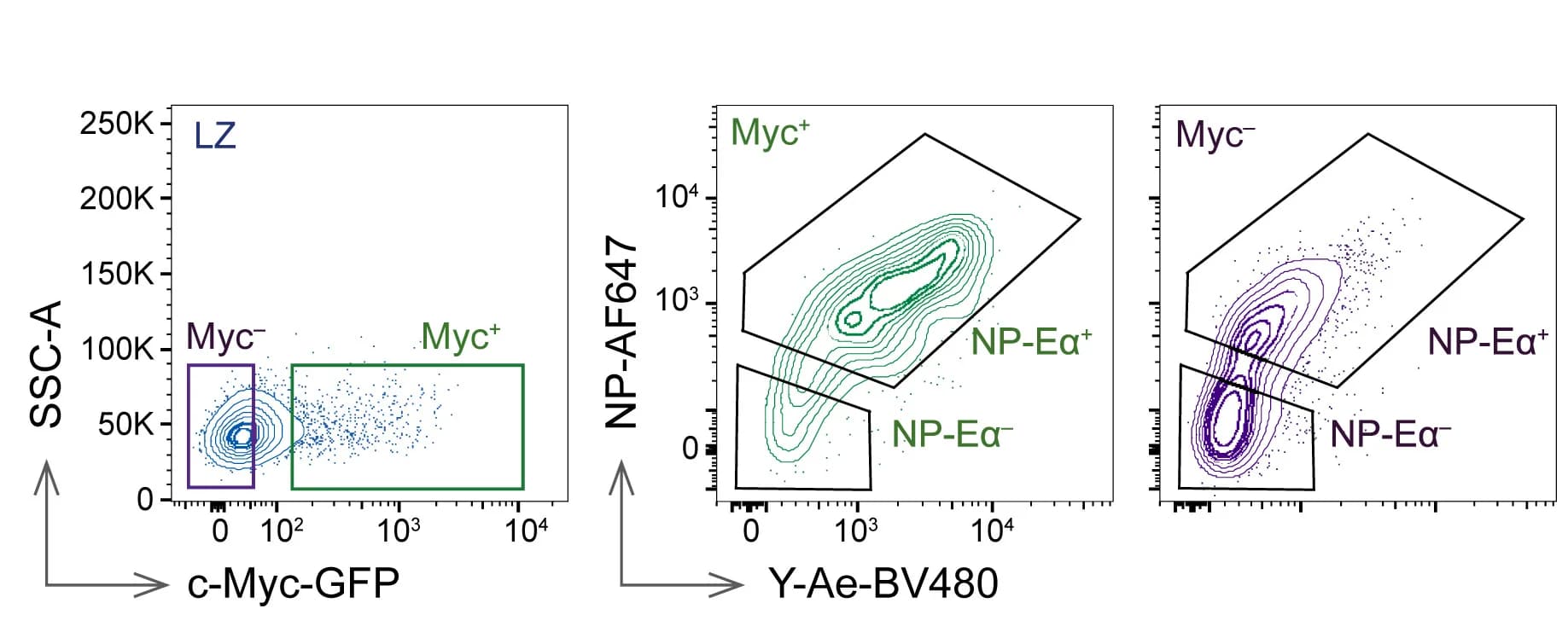 Open access visualization of Scatter Plot, Density Plot, c-Myc, NP-Eα, Cell Sorting