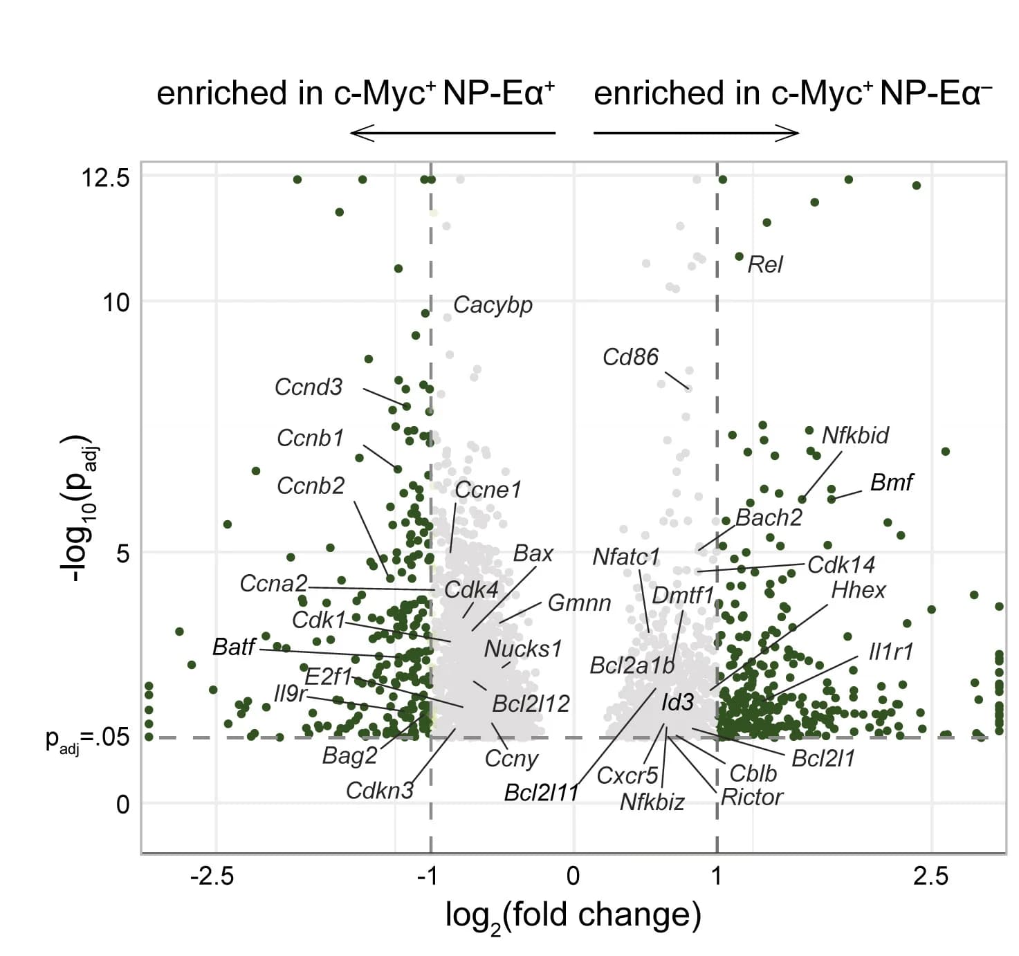 Open access visualization of Volcano Plot, Scatter Plot, Differentially Expressed Genes, c-Myc