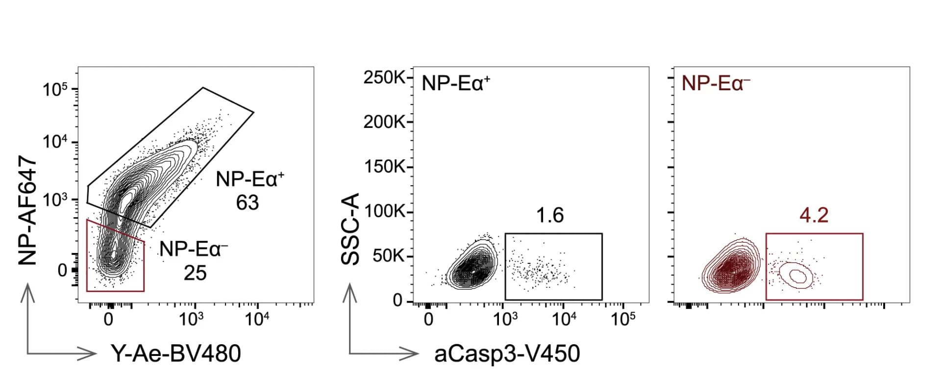 Open access visualization of Scatter Plot, Density Plot, aCasp3+ cells, NP-Eα+ cells, NP-Eα–B1-8hi cells