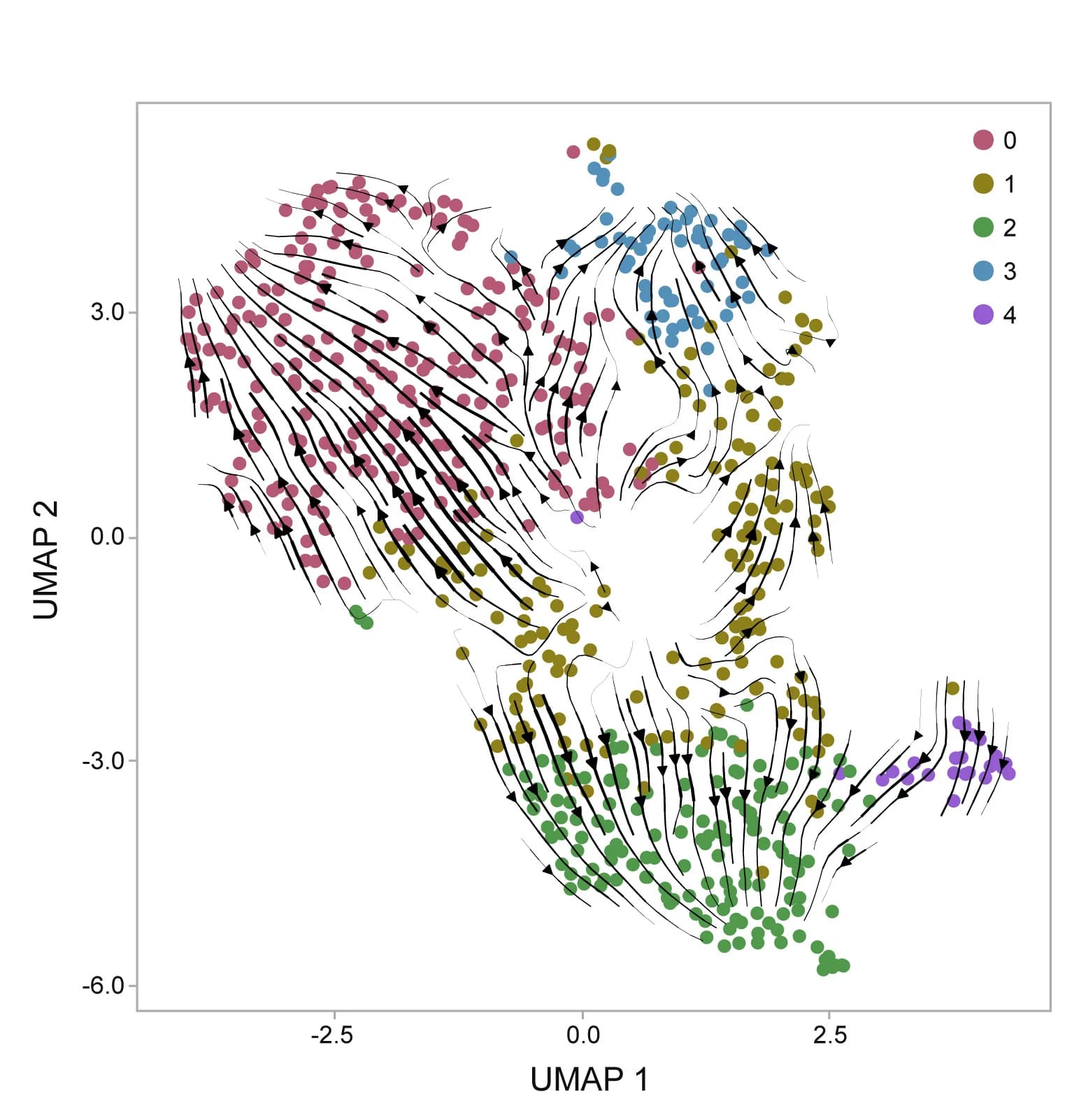 Open access visualization of Scatter Plot, UMAP, RNA Velocity, Transcriptomics