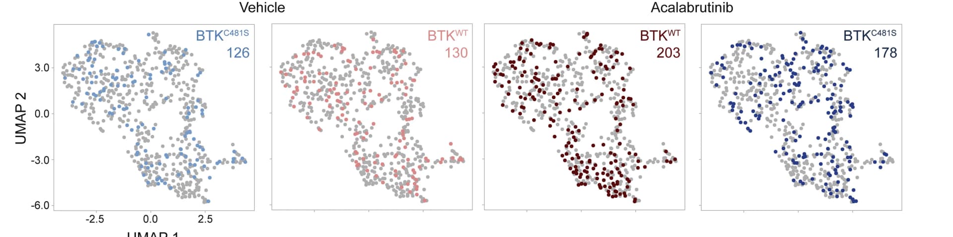 Open access visualization of Scatter Plot, UMAP, B1-8hiBTKC481S, B1-8hiBTKWT, Vehicle