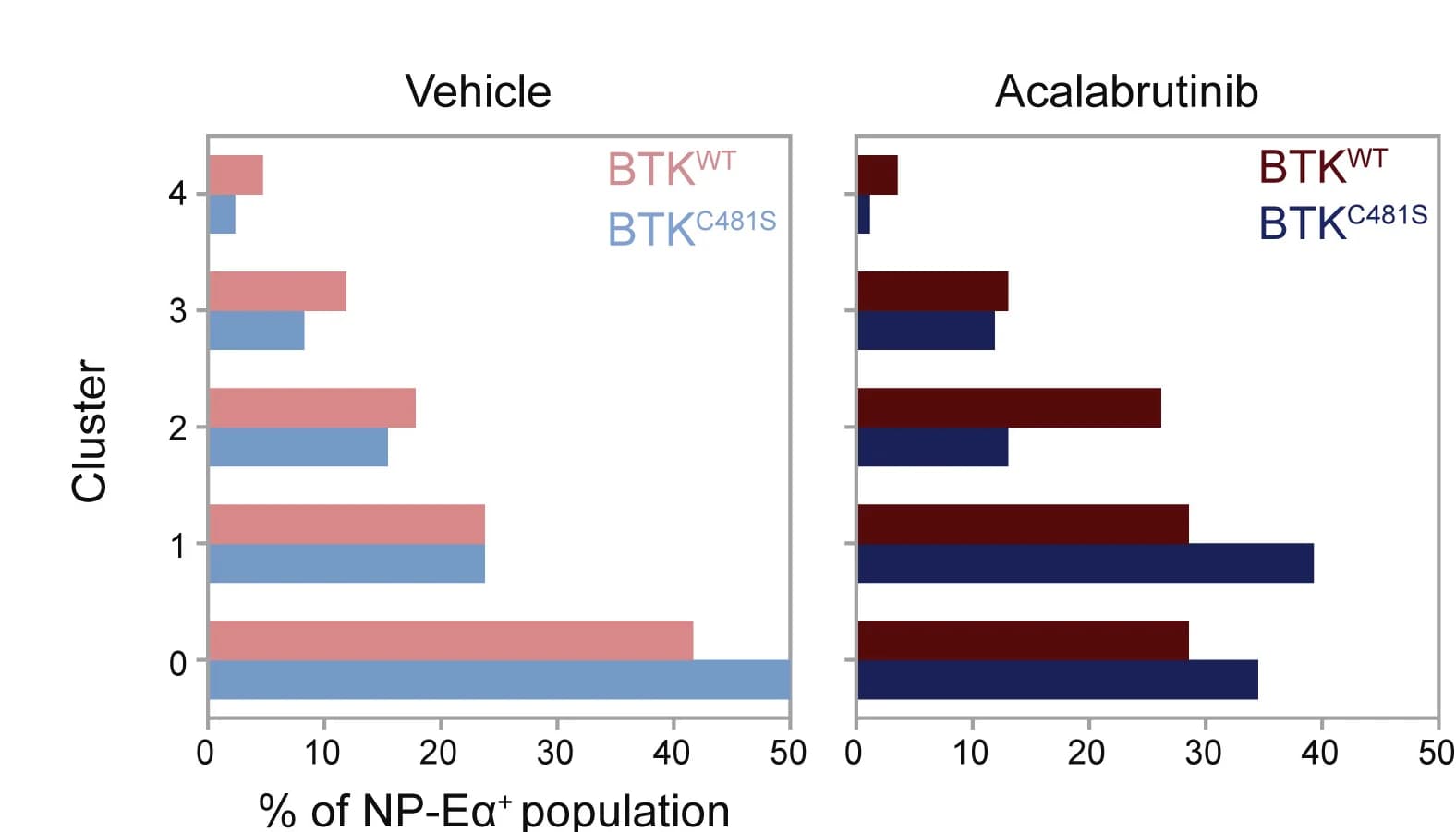 Open access visualization of Bar Plot, Clustered, Cluster Distribution, B1-8hiBTKC481S, B1-8hiBTKWT