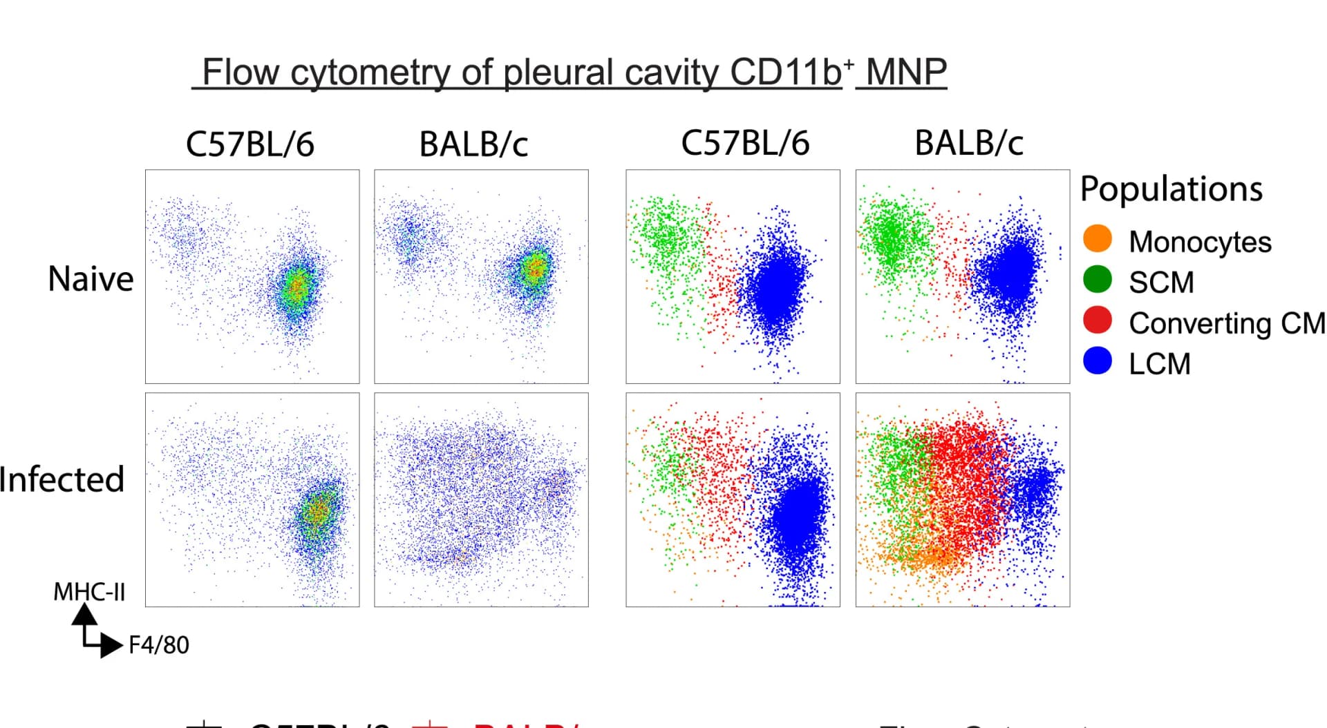 Open access visualization of Scatter Plot, Flow Cytometry, F4/80, MHCII, Pleural Cavity