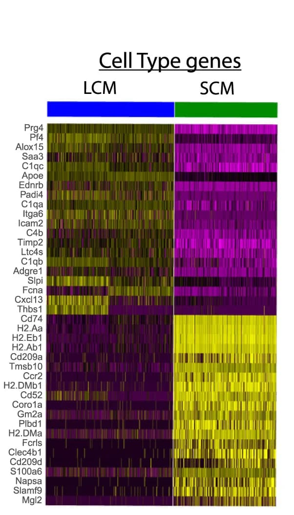 Open access visualization of Heatmap, Differentially Expressed Genes, LCMs, SCMs