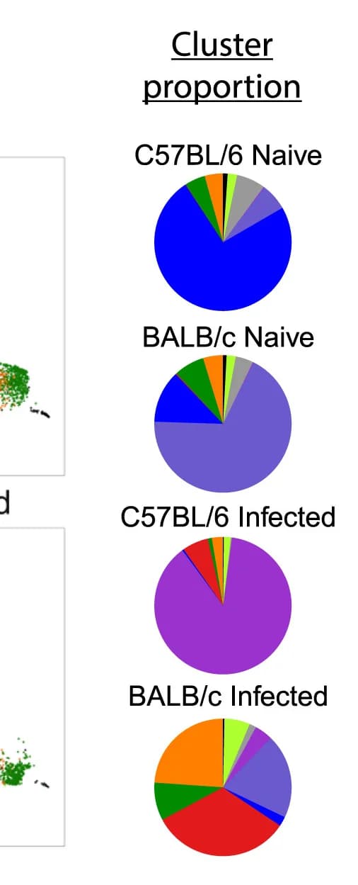 Open access visualization of Pie Chart, UMAP, Cluster, Pie Charts, Sample