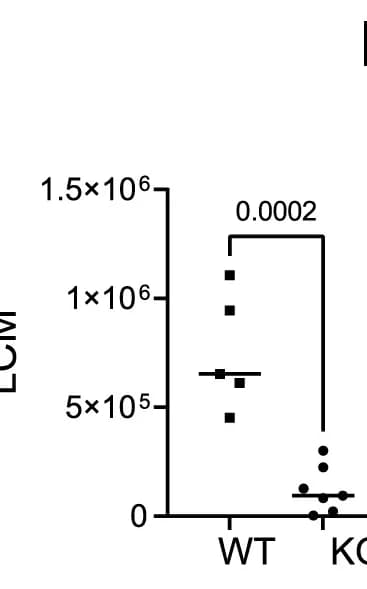 Open access visualization of Scatter Plot, LCM Numbers