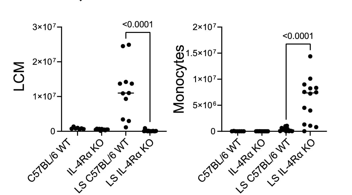Open access visualization of Scatter Plot, LCM, Monocytes
