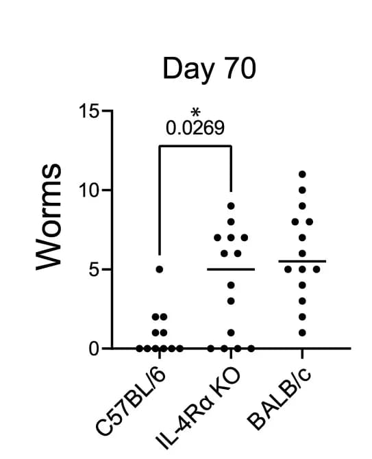 Open access visualization of Scatter Plot, Worms