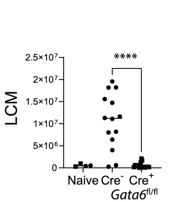 Open access visualization of Scatter Plot, LCM