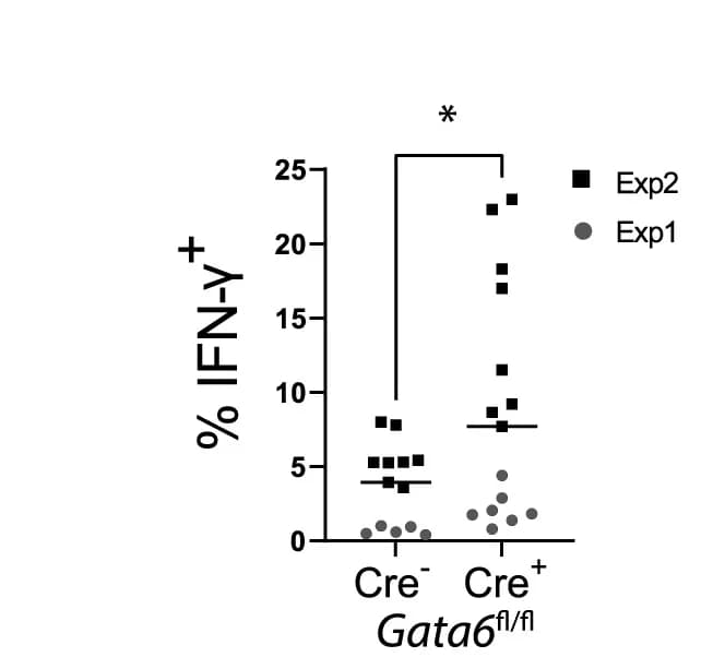 Open access visualization of Scatter Plot, IFN-γ, CD4+T Cells