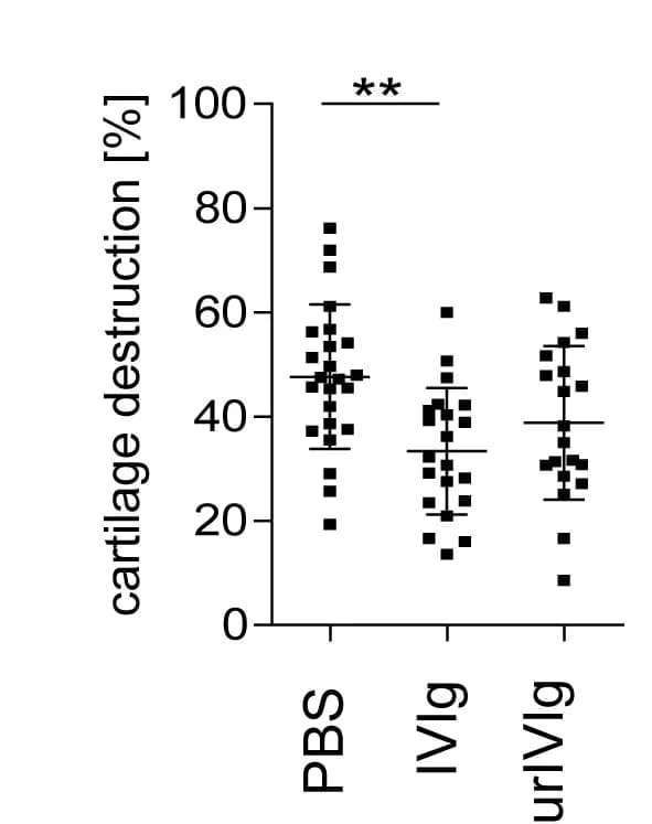 Open access visualization of Scatter Plot, Error Bars, Cartilage Destruction, Quantification