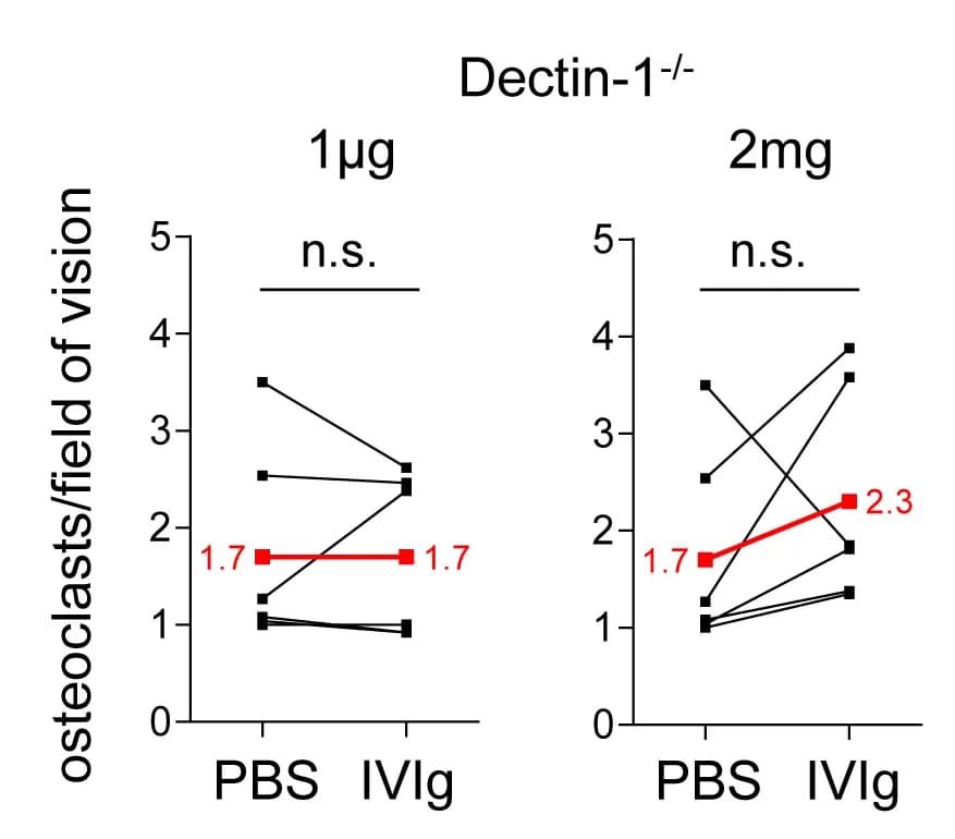Open access visualization of Line Plot, IVIg, Osteoclasts, Bone Marrow, Dectin-1-Deficient Mice