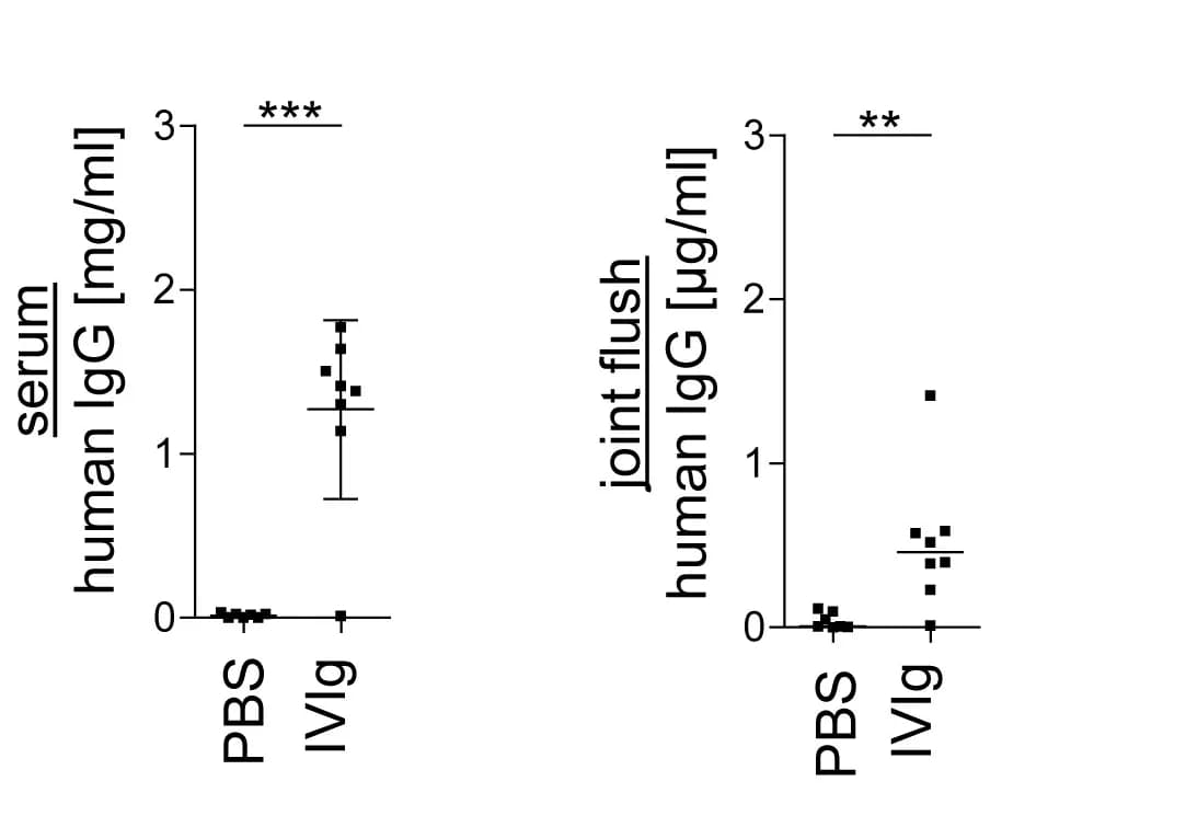 Open access visualization of Bar Plot, Error Bars, Scatter Plot, Human IgG, Serum
