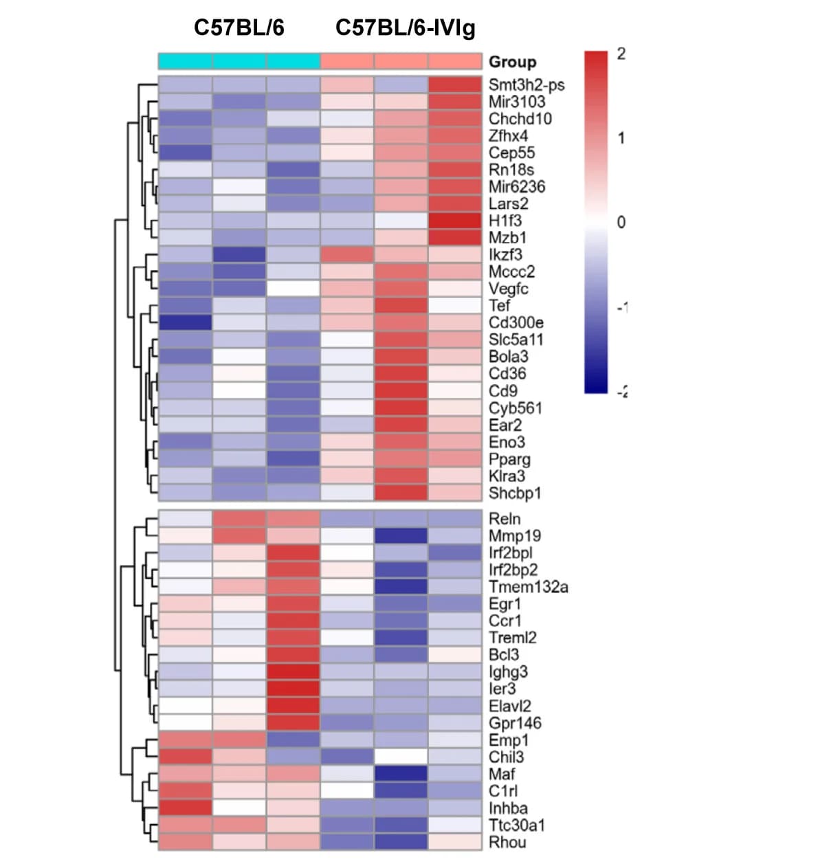 Open access visualization of Heatmap, Clustered, Differentially Expressed Genes, Monocytes, IVIg