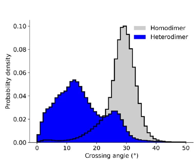 Open access visualization of Histogram, Line Plot, FcγRIIb Homodimer, FcγRIIb-Dectin-1b Heterodimer, Transmembrane Helices