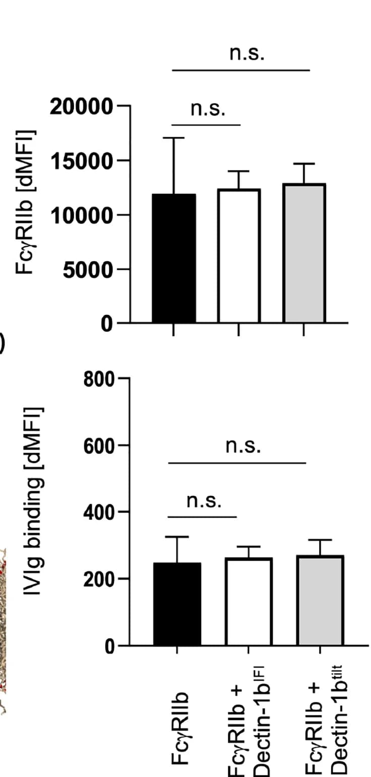 Open access visualization of Bar Plot, Error Bars, FcγRIIb Expression, IVIg Binding, CHO Cells