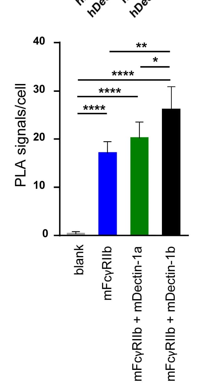 Open access visualization of Bar Plot, Error Bars, Proximity Ligation Assays, FcγRIIb Antibody