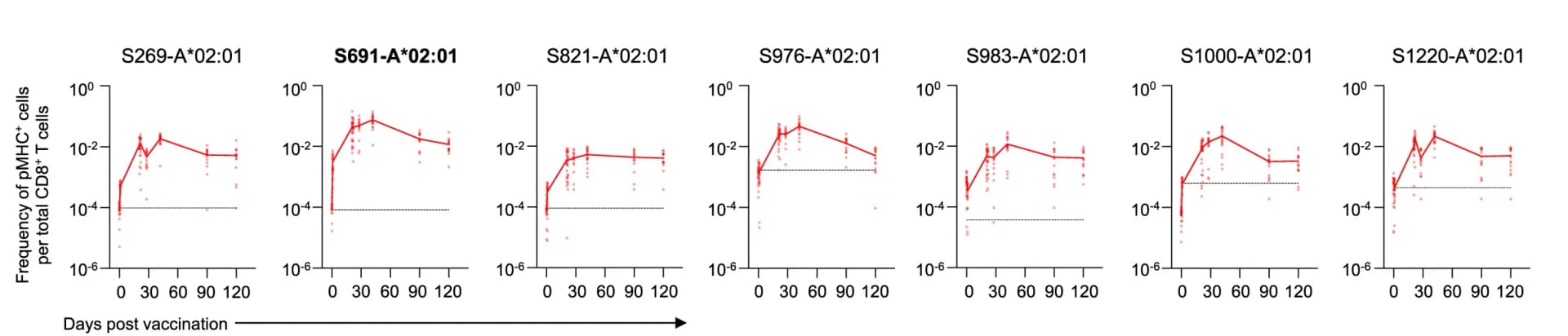 Open access visualization of Line Plot, Scatter Plot, CD8+ T Cell, Responses, SARS-CoV-2