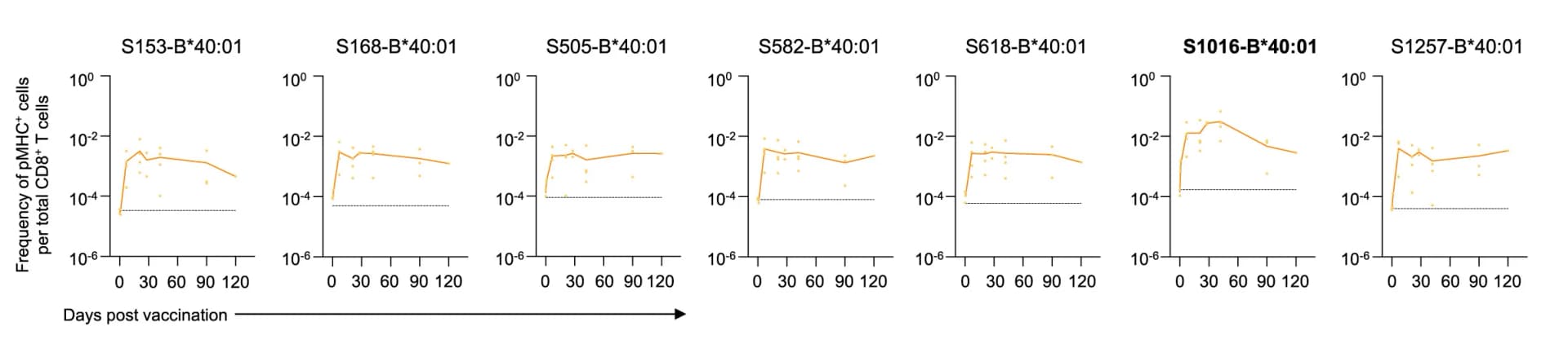 Open access visualization of Line Plot, Scatter Plot, CD8+ T Cell, Responses, SARS-CoV-2