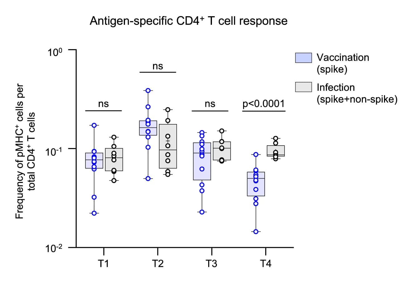 Open access visualization of Box Plot, Scatter Plot, Antigen-Specific CD4+ T Cell Response, BNT162b2 Vaccine, SARS-CoV-2 Infection