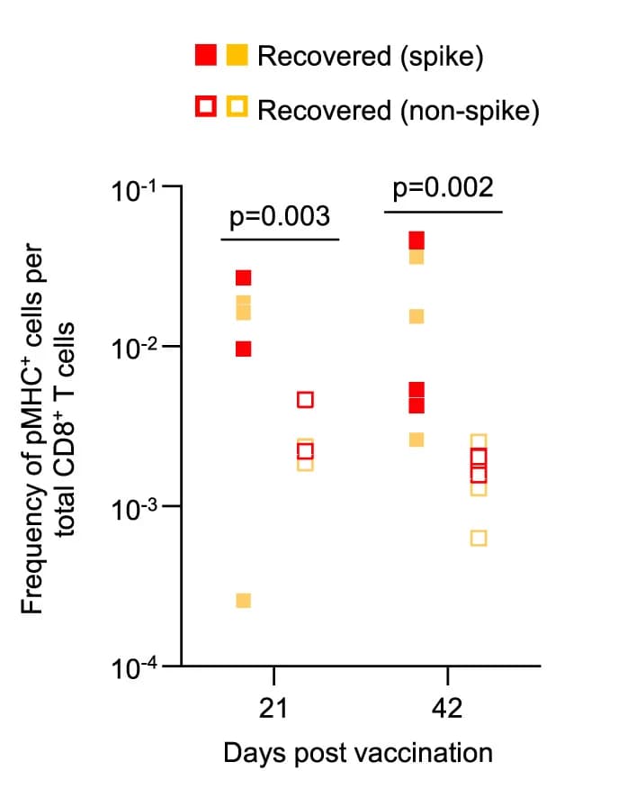 Open access visualization of Scatter Plot, Spike-specific CD8+ T Cells, Non-spike-specific CD8+ T Cells, HLA-A*02:01, HLA-B*40:01