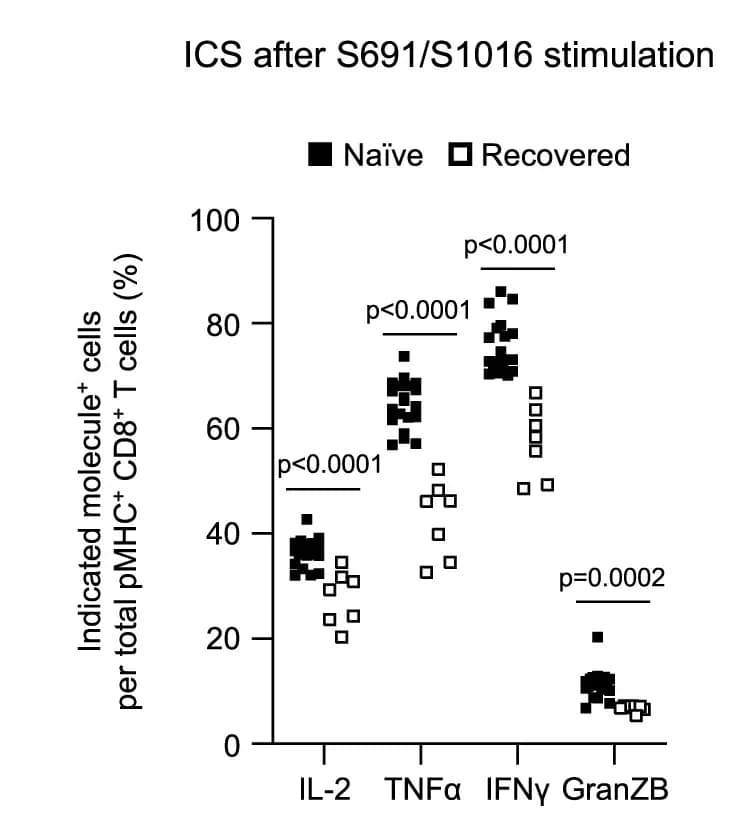 Open access visualization of Scatter Plot, Cytokine Producing T Cells, S691/A*02:01 Specific CD8+ T Cells, S1016/B*40:01 Specific CD8+ T Cells, CD8+ T Cells