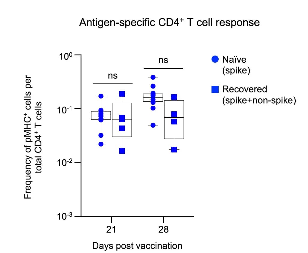 Open access visualization of Box Plot, Scatter Plot, Antigen-specific CD4+ T Cells, CD4+ T Cell Response, BNT162b2 Vaccine