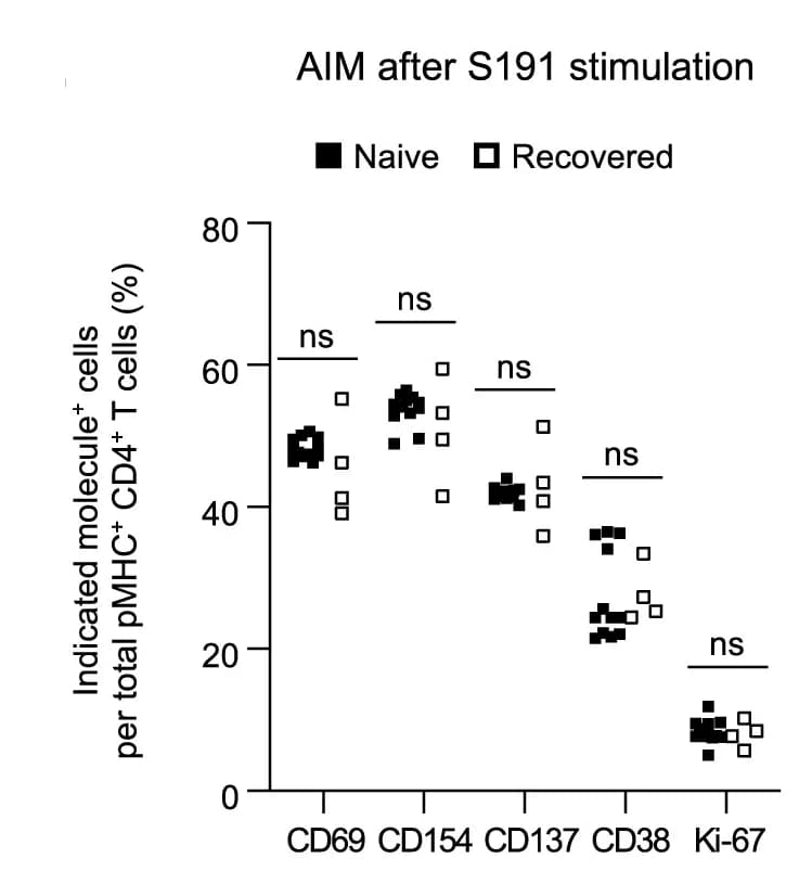 Open access visualization of Scatter Plot, AIM Expressing T Cells, S191/DRB*15:01 Specific CD4+ T Cells, CD4+ T Cells, Peptide Stimulation