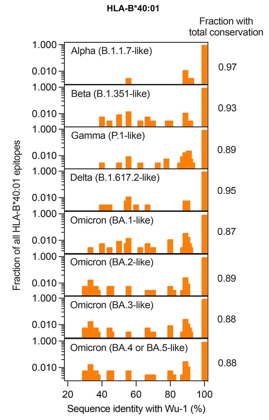 Open access visualization of Histogram, Spike-derived T Cell Epitopes, SARS-CoV-2, Wuhan-1 Strain, HLA-B*40:01