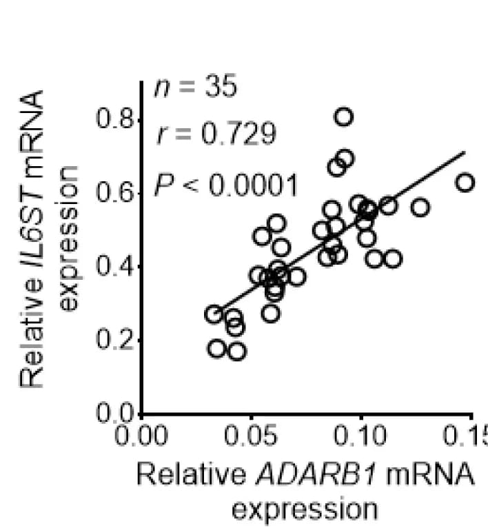Open access visualization of Scatter Plot, Regression Plot, Scatterplot, ADARB1 mRNA, IL6ST mRNA