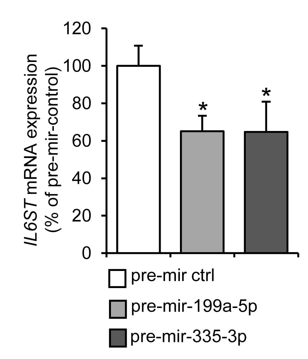 Open access visualization of Bar Plot, Error Bars, HUVECs, miR-199a-5p, miR-335-3p