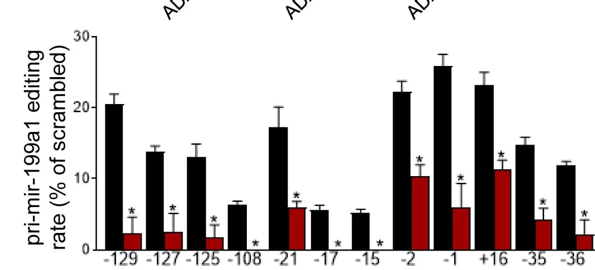 Open access visualization of Bar Plot, Error Bars, Clustered, PCR, miRNA Editing