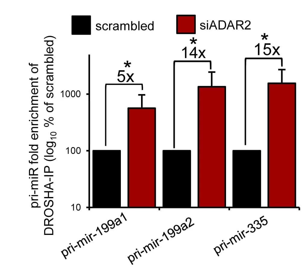 Open access visualization of Clustered, Error Bars, Bar Chart, Fold Enrichment, pri-miRNAs
