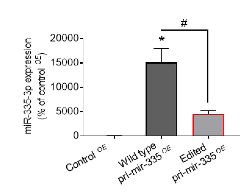 Open access visualization of Bar Plot, Error Bars, miR-199a-5p, miR-335-3p, Endothelial Cells