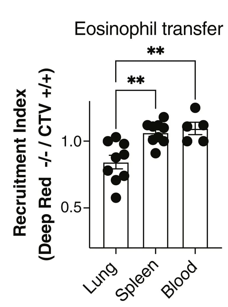 Open access visualization of Bar Plot, Scatter Plot, Error Bars, Eosinophil Quantification, Recruitment Index