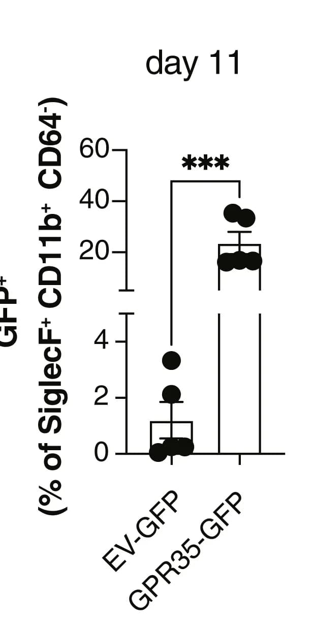 Open access visualization of Bar Plot, Error Bars, Scatter Plot, GFP, Eosinophil