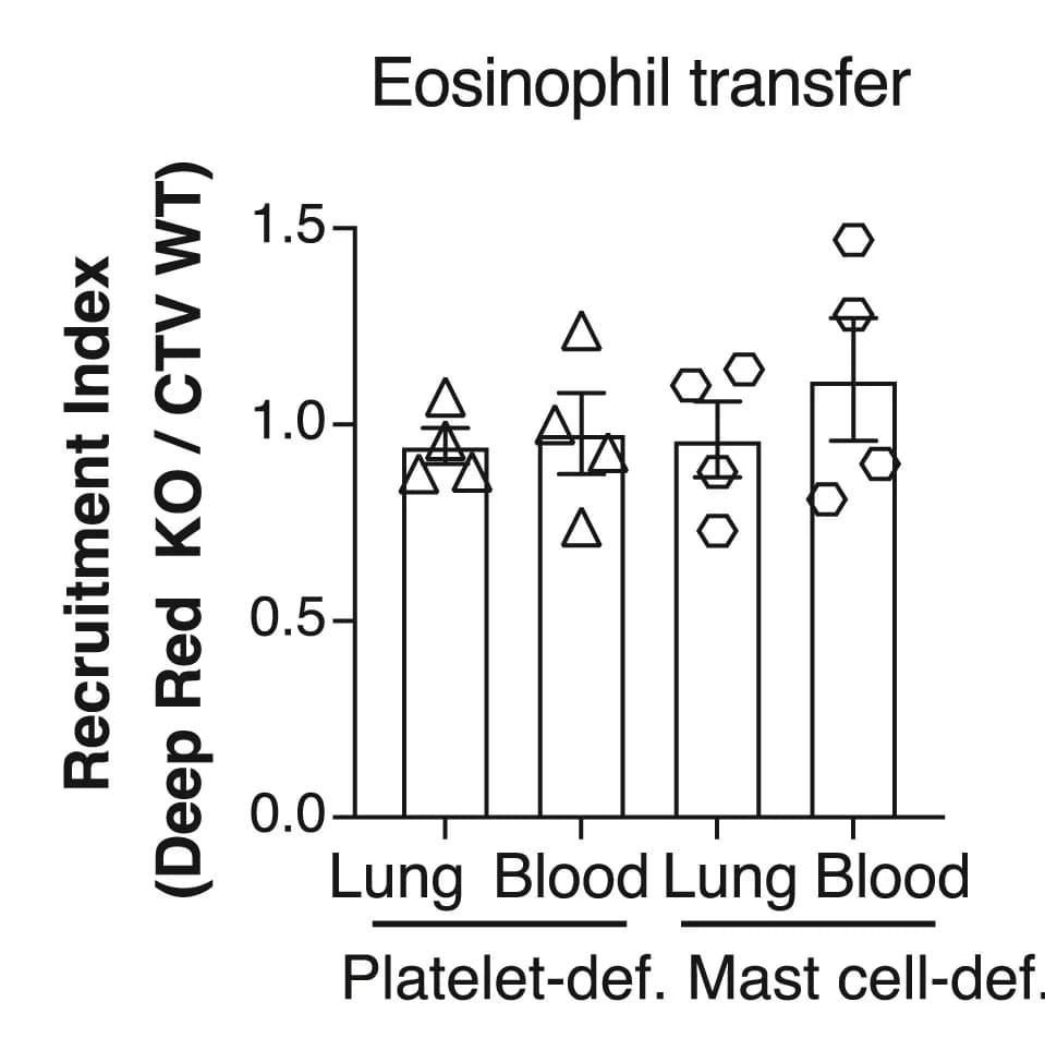 Open access visualization of Bar Plot, Error Bars, BM-derived CTV+GPR35+/+ Eosinophil, Deep Red+GPR35-/- Eosinophil, Lung