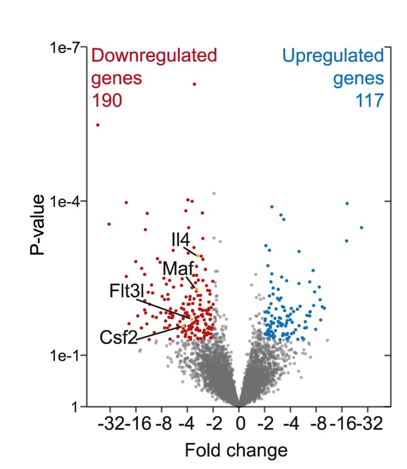 Open access visualization of Volcano Plot, Scatter Plot, RNA Sequencing, AdnpsgRNA, Th2 Cells