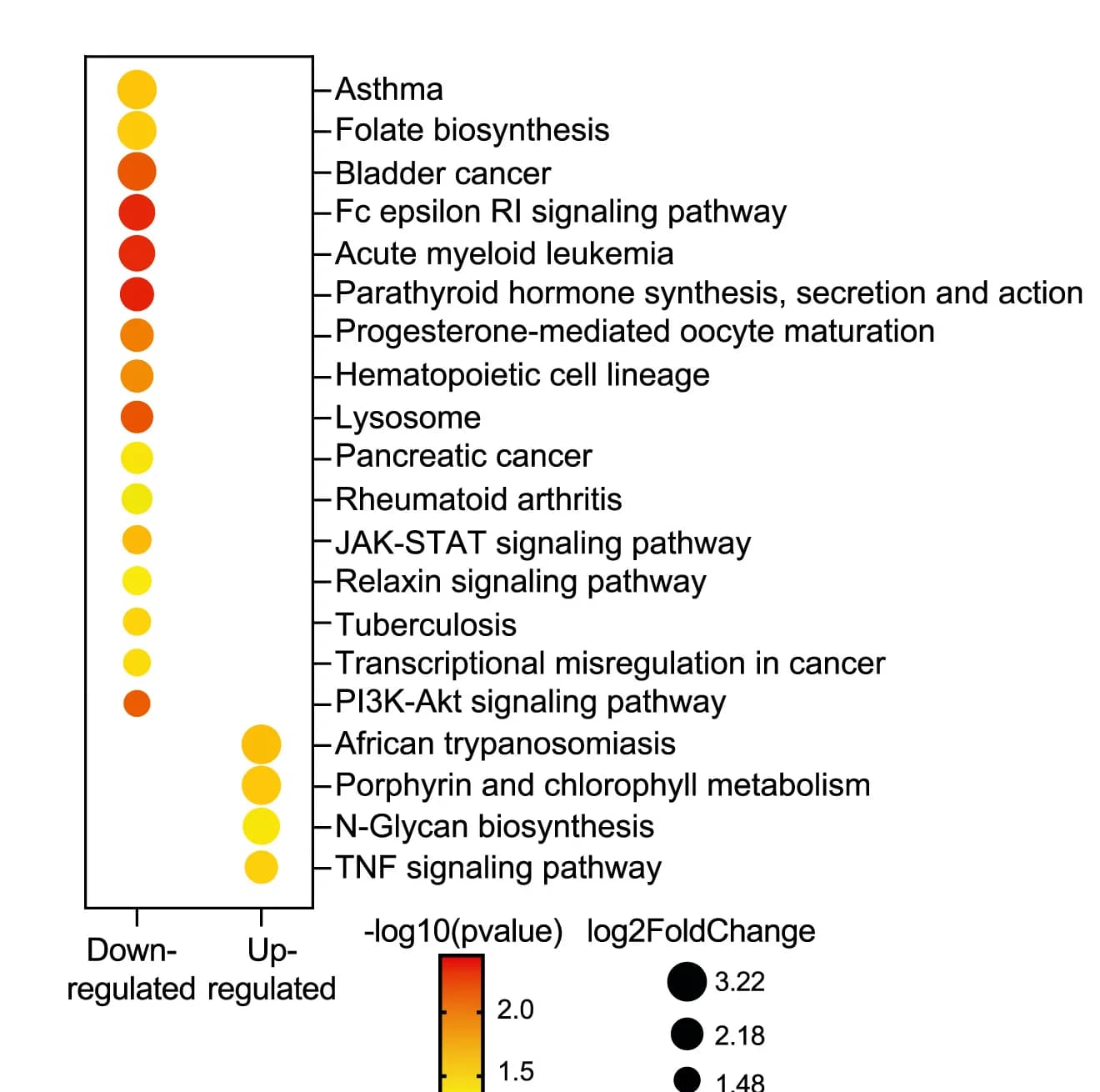 Open access visualization of Bubble Plot, Volcano Plot, KEGG Pathway Analysis, Genes, AdnpsgRNA