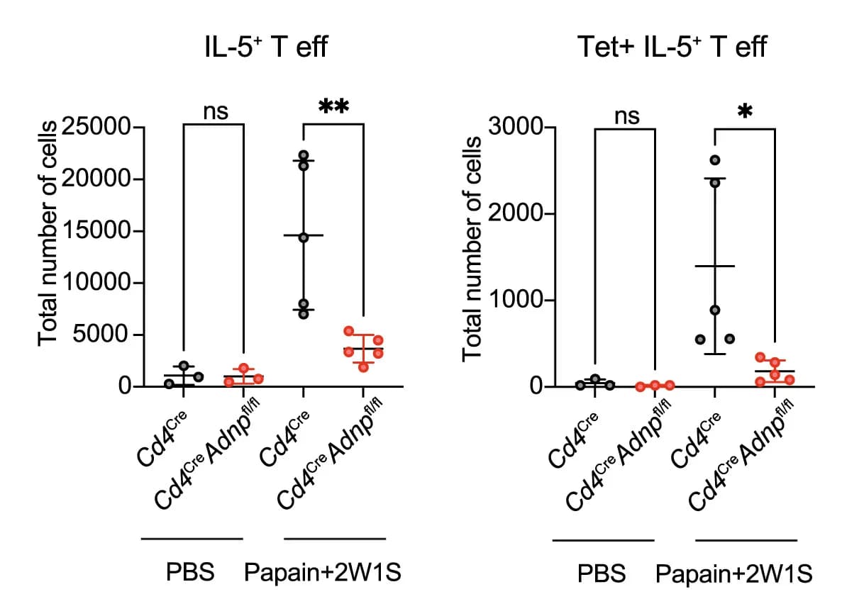 Open access visualization of Scatter Plot, Error Bars, Flow Cytometry, Lung, IL-5