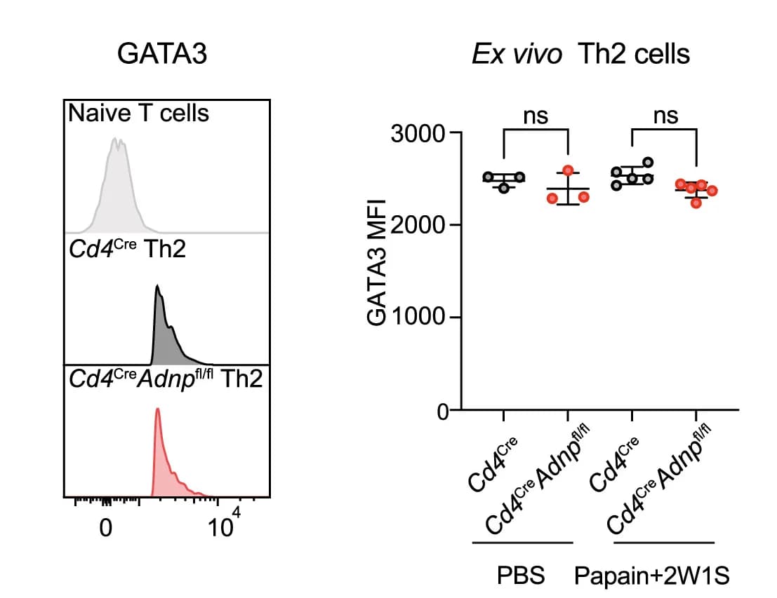 Open access visualization of Scatter Plot, Line Plot, Error Bars, Density Plot, GATA3