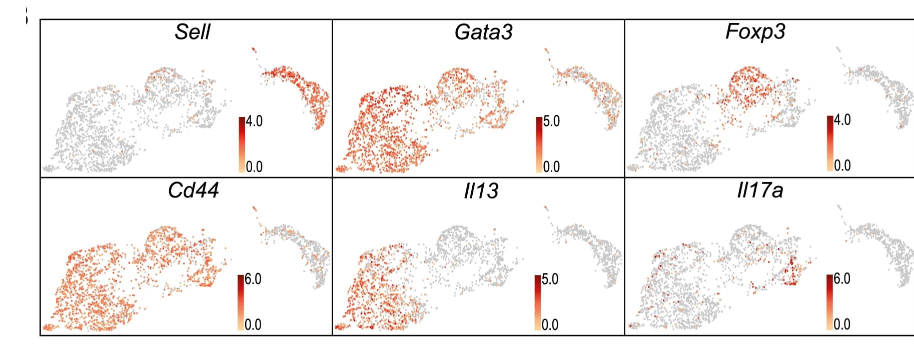 Open access visualization of Scatter Plot, UMAP, UMAP plot, Gene Expression, Individual Cell