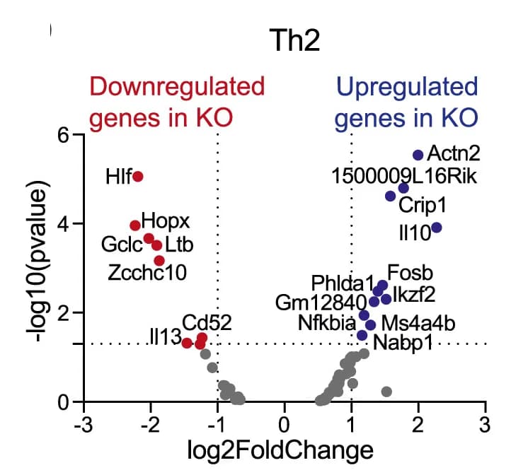 Open access visualization of Volcano Plot, Scatter Plot, Gene Comparison, Th2 Cells, Mice