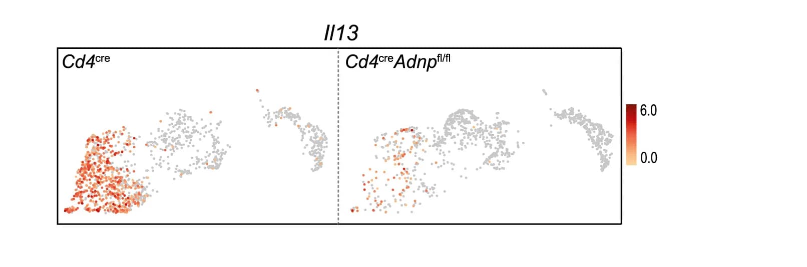 Open access visualization of Scatter Plot, UMAP, UMAP plot, Gene Expression, Individual Cell