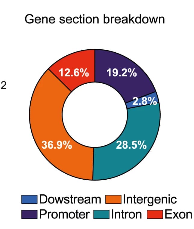 Open access visualization of Donut Chart, ADNP peaks, Genomic features, Promoter, Transcription Start Site
