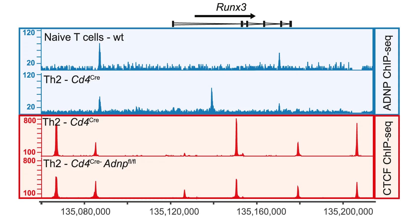 Open access visualization of Line Plot, Binding profiles, ADNP, Naive T Cells, Th2 Cells