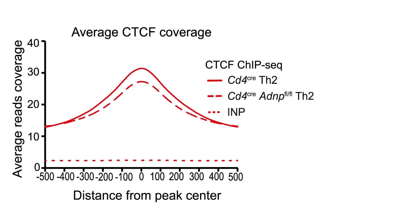 Open access visualization of Line Plot, ChIP-seq, CTCF peaks, Th2 Cells