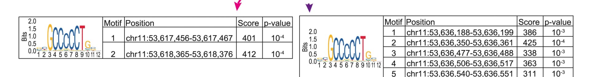Open access visualization of Illustration, Table Image, CTCF motifs, ADNP ChIP-seq peaks, Promoter regions